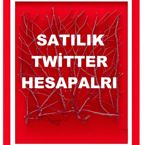  Twitter Mail Onaylı